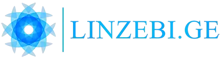 Linzebi.ge