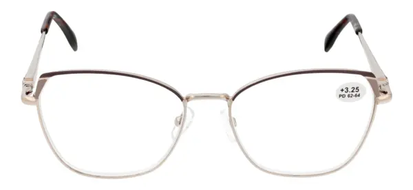 Reading glasses F