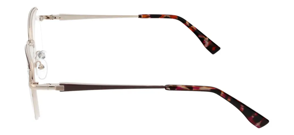 Reading glasses F