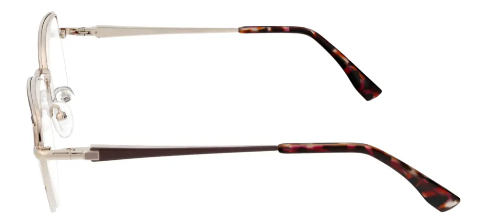 Reading glasses F