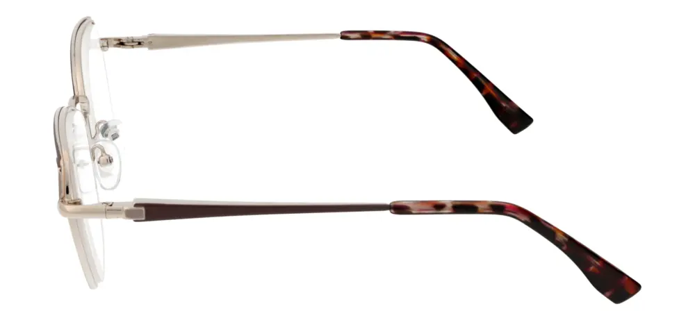 Reading glasses F