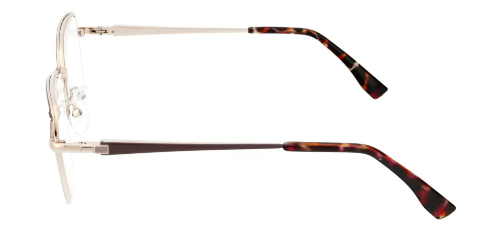Reading glasses F