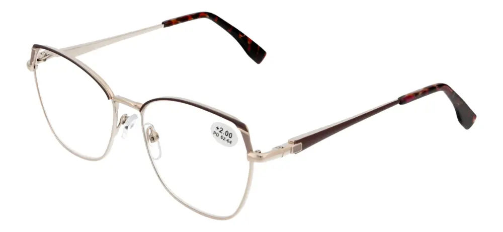 Reading glasses F