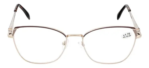 Reading glasses F