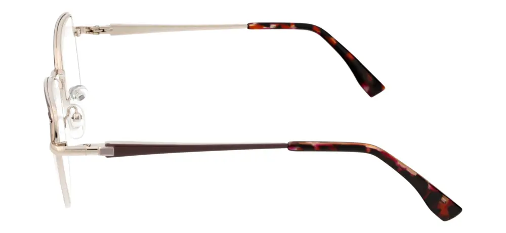 Reading glasses F