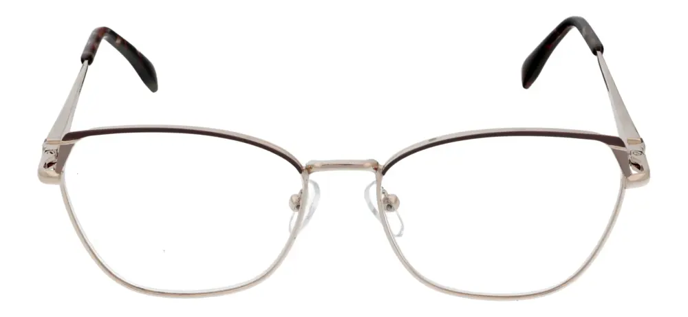 Reading glasses F