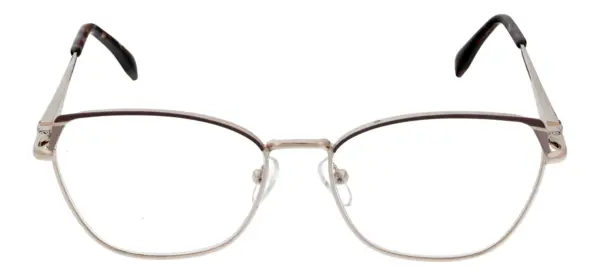 Reading glasses F