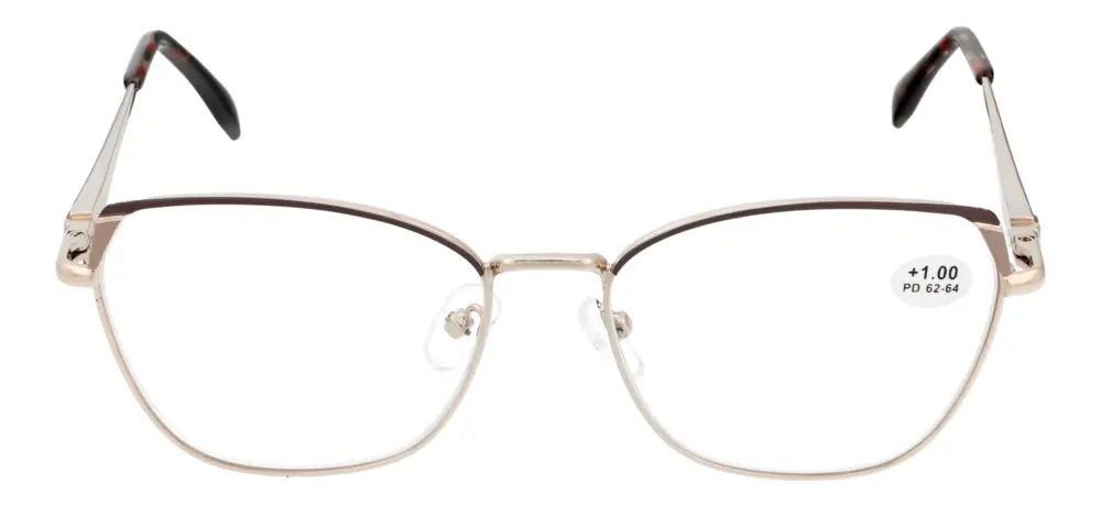 Reading glasses F