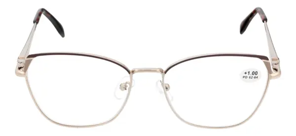 Reading glasses F