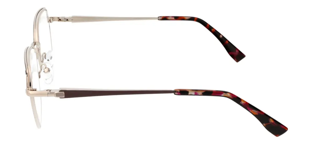 Reading glasses F