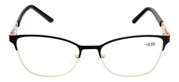 Reading glasses F