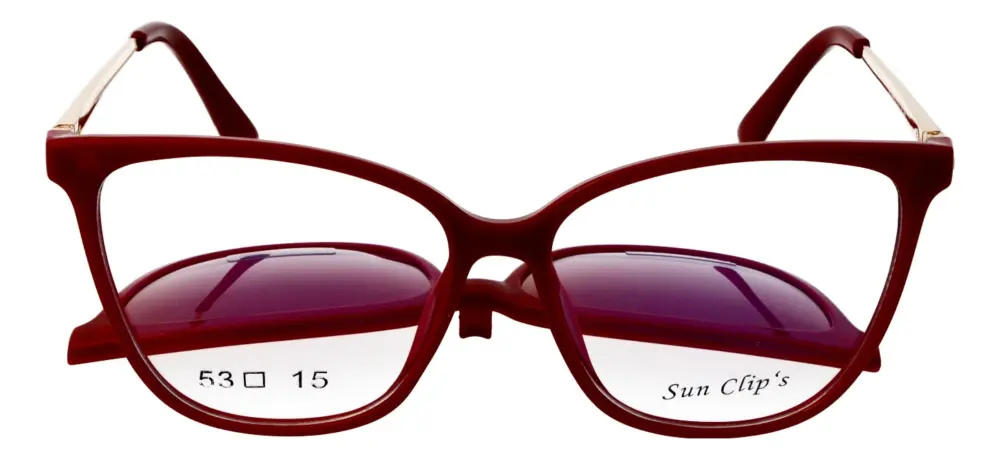Sun Clip's SC039/C3