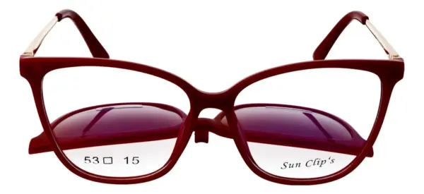 Sun Clip's SC039/C3