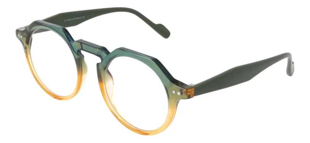 Eyewear Blueb E9213/C3