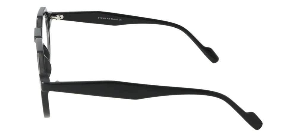 Eyewear Blueb E9213/C1