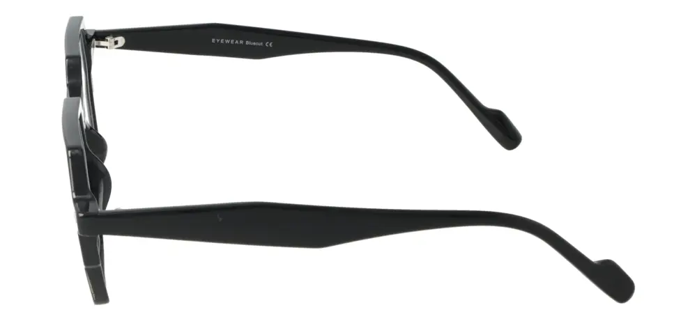 Eyewear Blueb E9212/C1