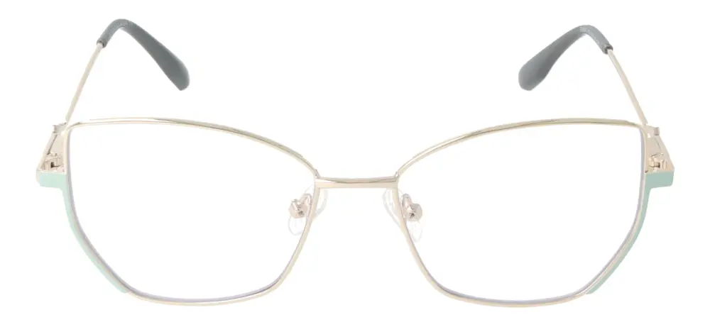 Eyewear Blueb E9221/C3