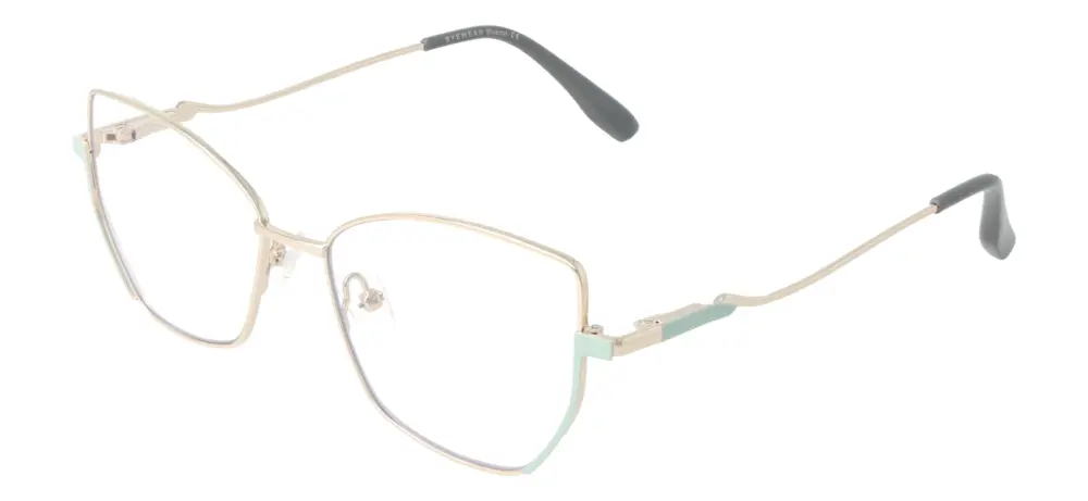 Eyewear Blueb E9221/C3