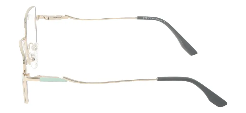 Eyewear Blueb E9221/C3
