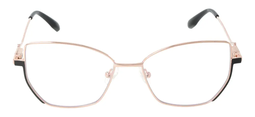 Eyewear Blueb E9221/C1