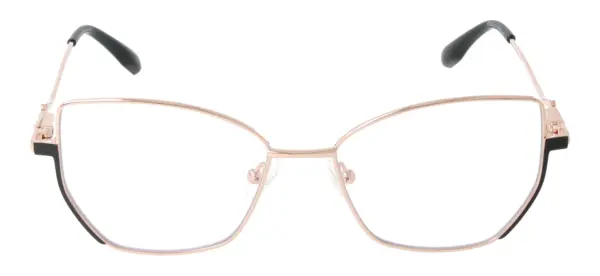 Eyewear Blueb E9221/C1