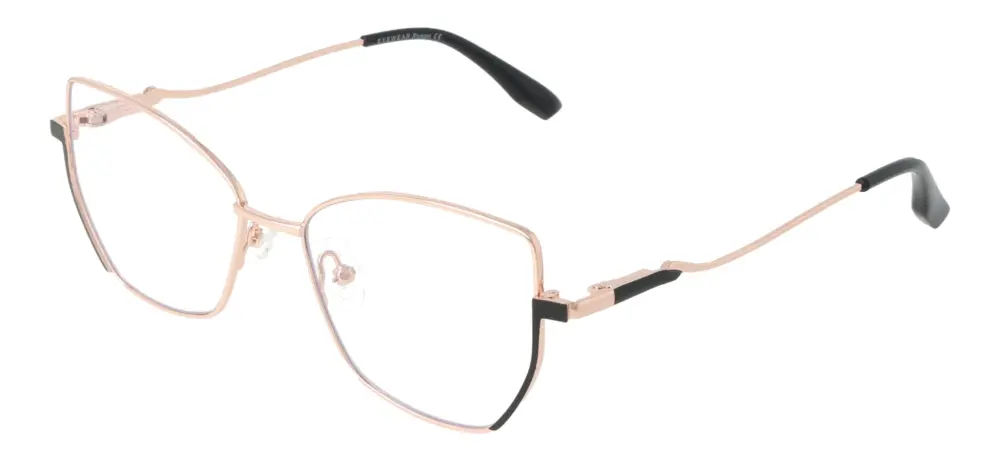 Eyewear Blueb E9221/C1