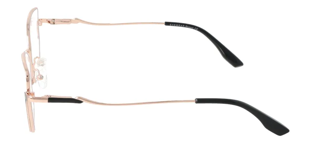Eyewear Blueb E9221/C1