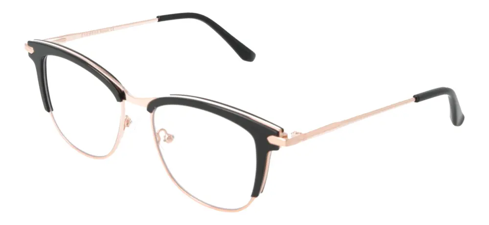 Eyewear Blueb E9219/C1