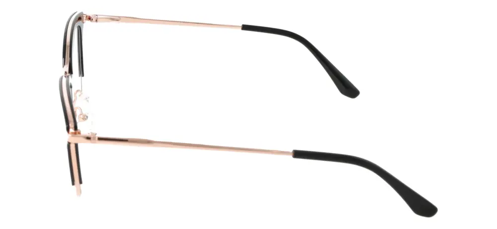 Eyewear Blueb E9219/C1