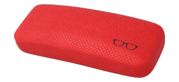 Case