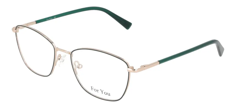 For You FY3456/C3